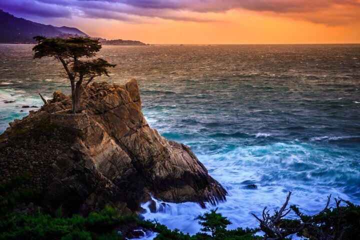 The Lone Cypress at Sunset from the 17-mile scenic drive.